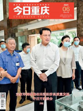 今日重庆期刊